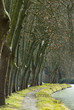 Sentier du canal du midi