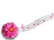 Music Music