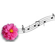 Music Music