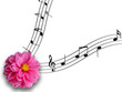 Music Music