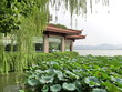 Pagode, lotus et saule pleureur, Lac Hangzhou, Chine Pagode, lotus et saule pleureur, Lac Hangzhou, Chine