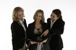 female business team female business team