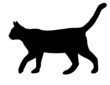 chat chat