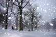 Boston Winter..