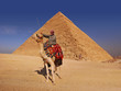 Foto: Bedouin and camel in front of the Great Pyramid at Giza Bedouin and camel in front of the Great Pyramid at Giza