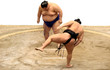 Sumo fight