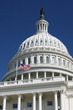 The US Capitol, Washington DC The US Capitol, Washington DC
