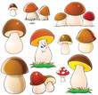 Mushrooms