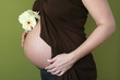 femme enceinte 3