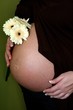 femme enceinte 2