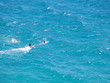 Baigneurs dans la mer méditerranée.