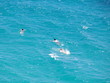 Baigneurs dans la mer méditerranée.
