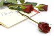 Foto: Red rose and love letter on a white Red rose and love letter on a white
