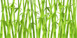design of chinese bamboo trees
