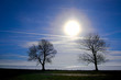 Wintersonne Wintersonne