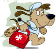 veterinaria