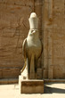 Images : Egypte - Temple d\'Edfu - Statue d\'Horus