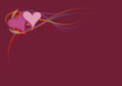valentine's 09 valentine's 09