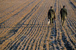 CHASSEURS AU PETIT MATIN