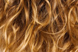 Blonde curly hair - background texture