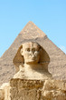 Sphinx on the background of great pyramid in Egypt
