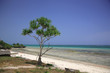 Stunning tropical beach with turquoise sea Mombassa Africa. Stunning tropical beach with turquoise sea Mombassa Africa.