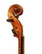 Violin's arm