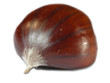 castagna