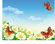Vector: butterfly and flowers butterfly and flowers