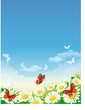 Vector: butterfly and flowers butterfly and flowers