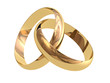 Two linked wedding rings on a white background