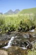 stream in the Drakensberg mountains, Cathedral Peak