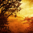 golden sunset