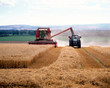 Combine harvester and tractor at work