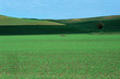 Large arable farm Large arable farm