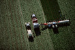 Farm workers harvesting Farm workers harvesting