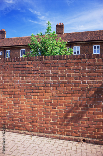 Red brick wall Red brick wall