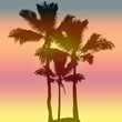 crépuscule sous les cocotiers