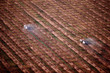 Tractors on arable farm Tractors on arable farm