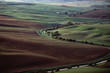 Stream through arable farm Stream through arable farm