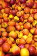 Äpfel Sorte Braeburn