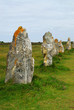 Row of prehistoric megalithic monuments in Brittany, France