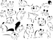 Rodents