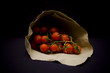 Pachino's tomato