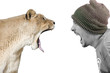 lionne vs humain lionne vs humain