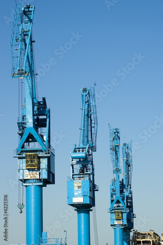 Photo: crane crane