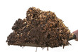 moist woodchip mulch