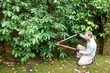 gardening