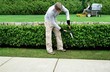 landscaping company