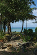 jardin tropical